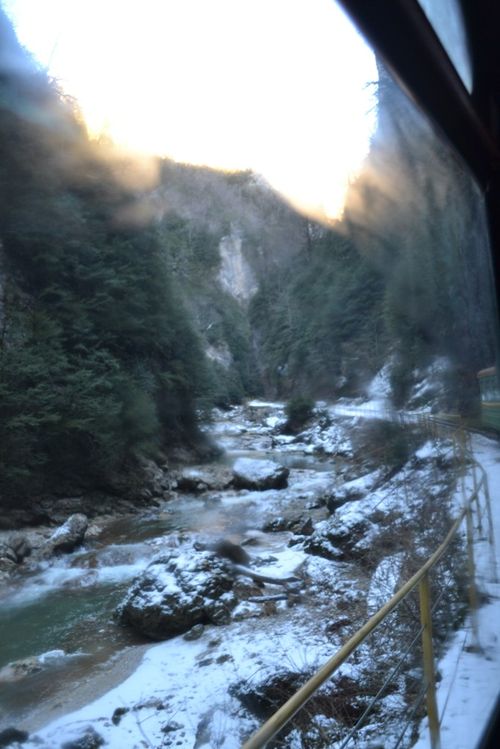 Гуамское ущелье. Фото из вагона узкоколейки